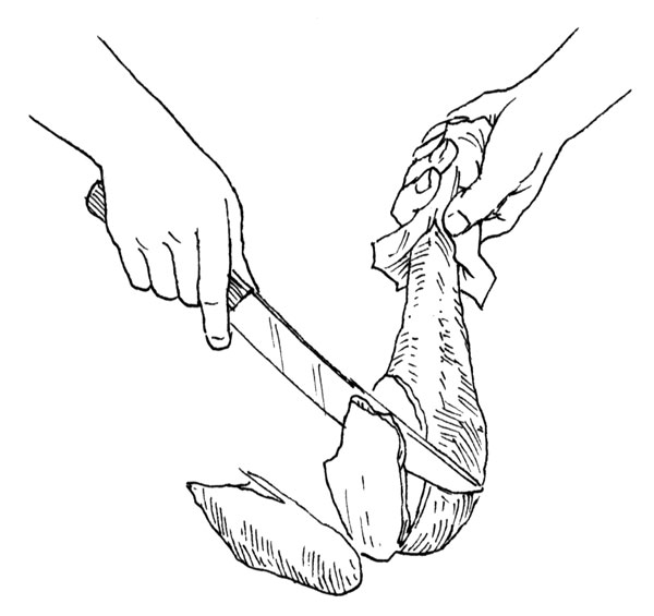 Place the drumstick and thigh on a cutting surface and cut through the connecting joint. Both pieces may be individually sliced. Tilt the drumstick to a convenient angle, slicing toward the table.